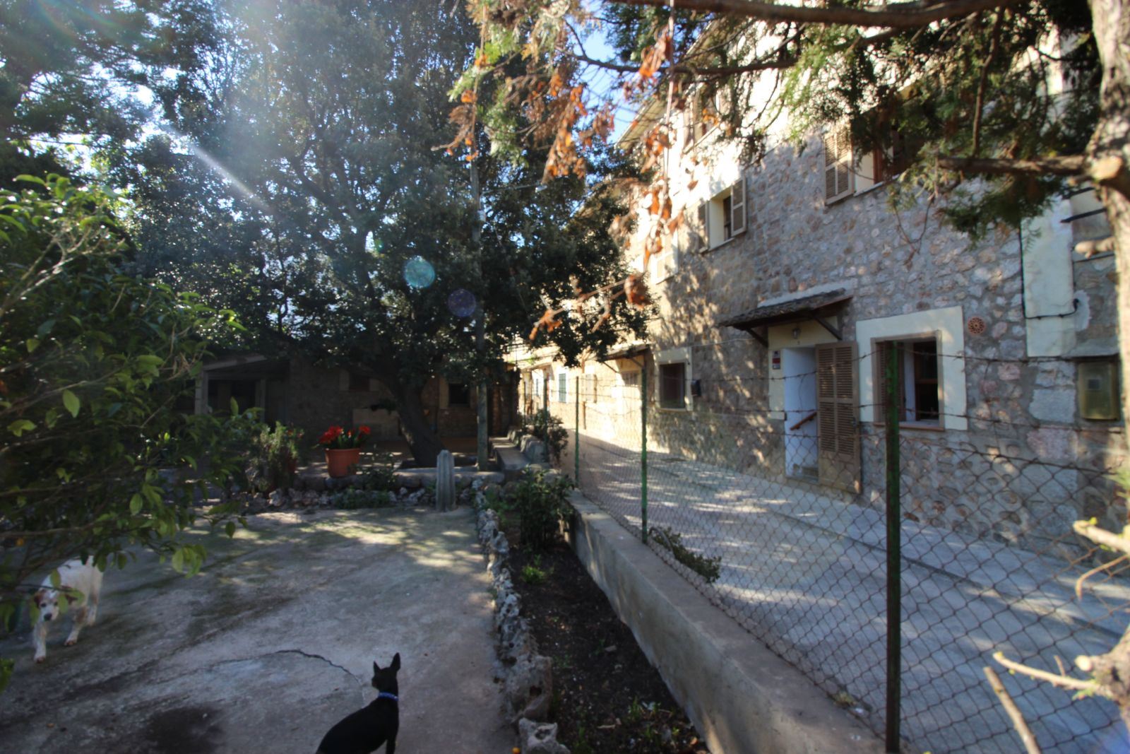 COUNTRY HOUSE in SOLLER