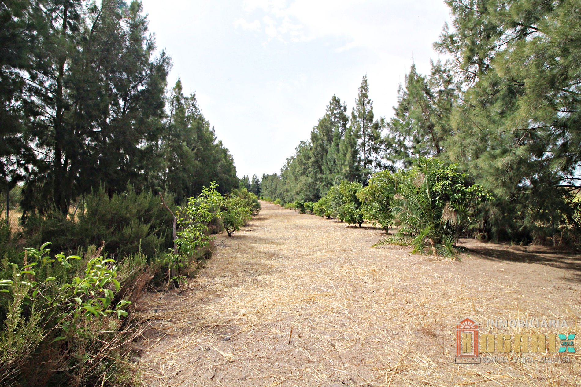 TERRENO en 