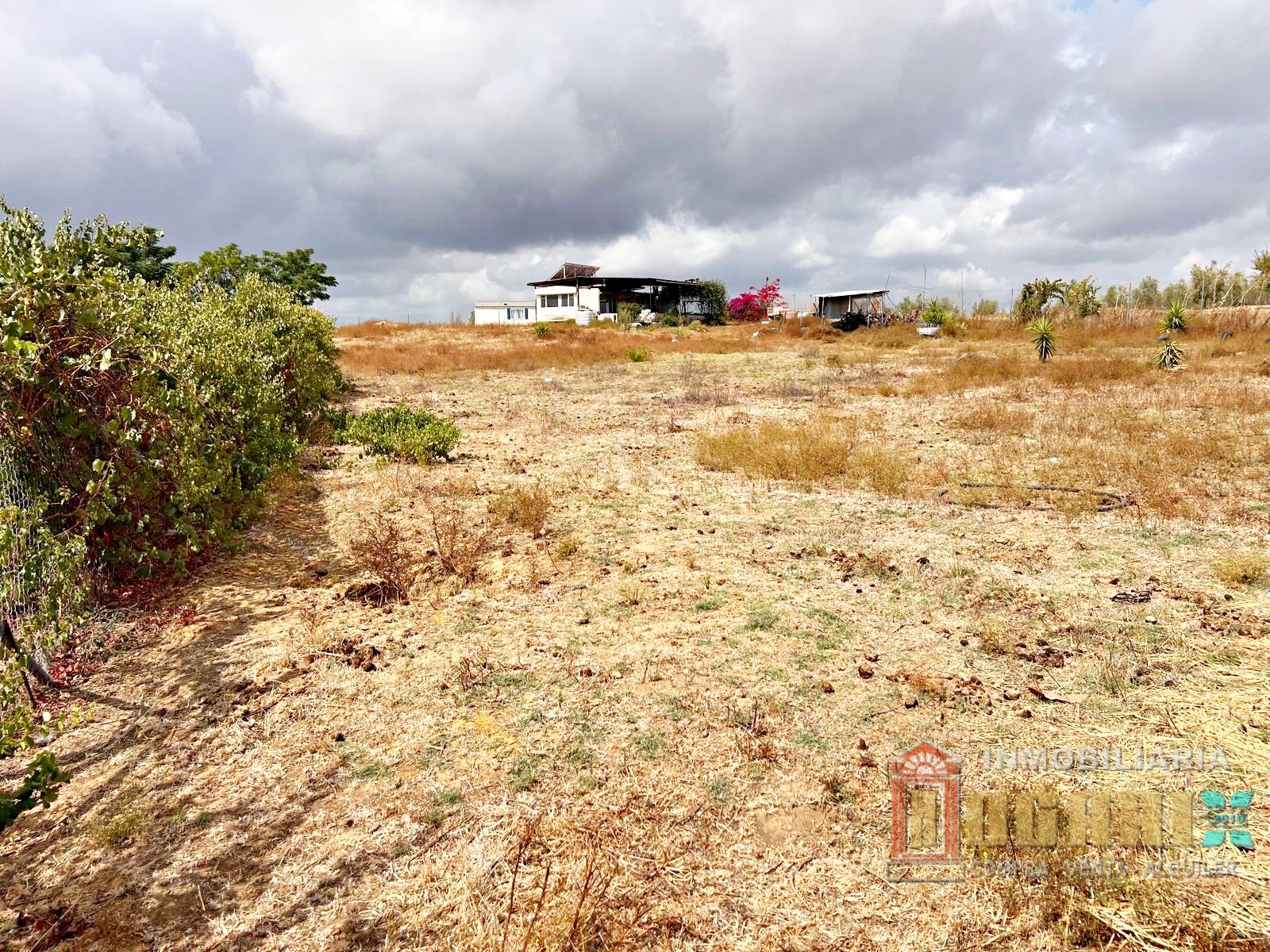 TERRENO en 
