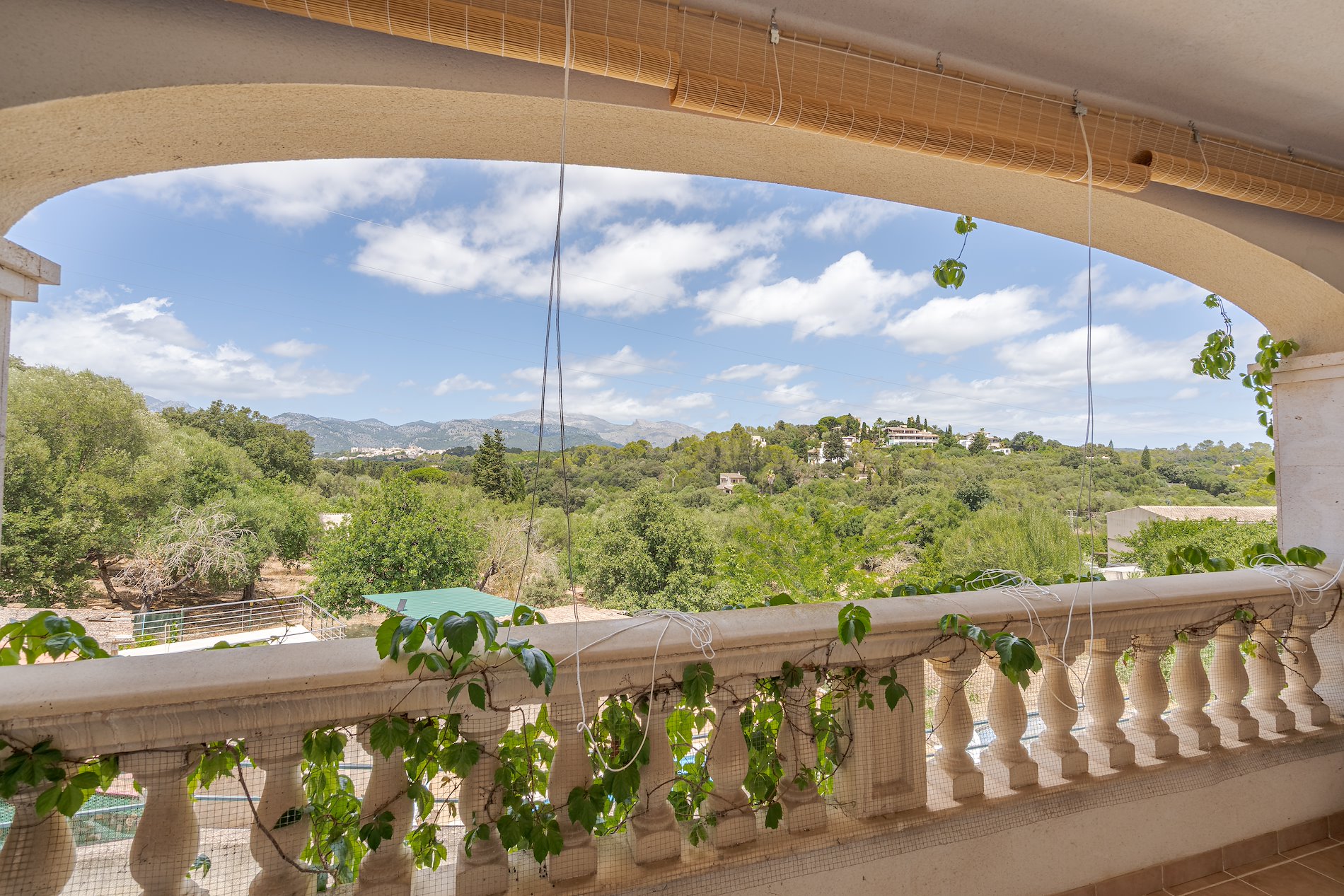 PRECIOSO ADOSADO EN BÚGER