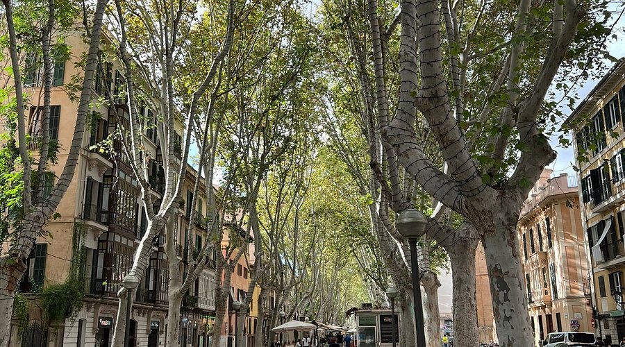 PISO DE GRANDES DIMENSIONES Y CON PARKING EN PLENO CENTRO DE PALMA