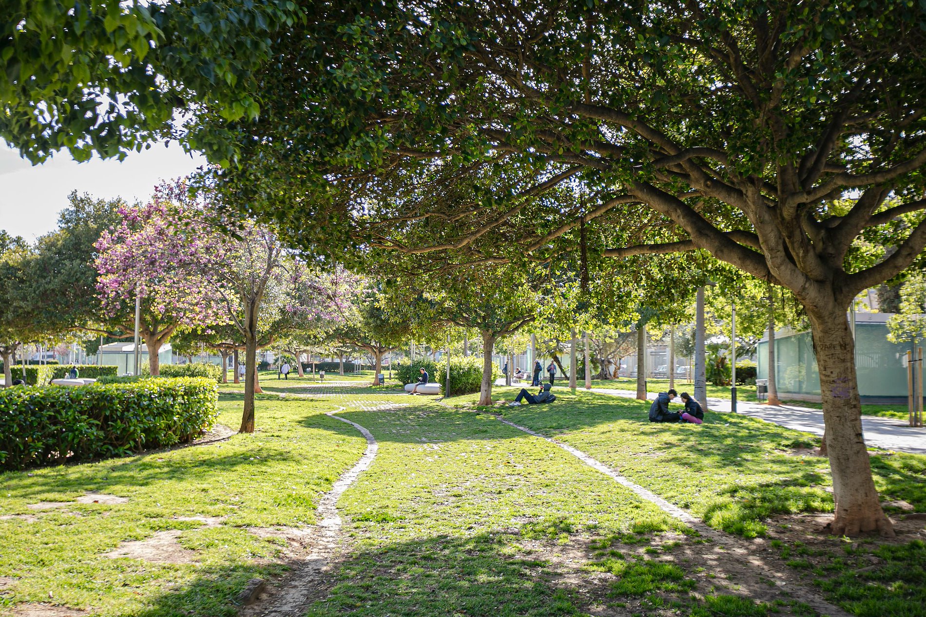 PISO CÉNTRICO (PARC SES ESTACIONS)