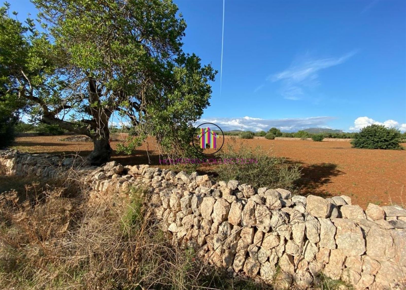 ESPECTACULAR RUSTICA CON LICENCIA Y PROYECTO PARA CASA UNIFAMILIAR CON PISCINA