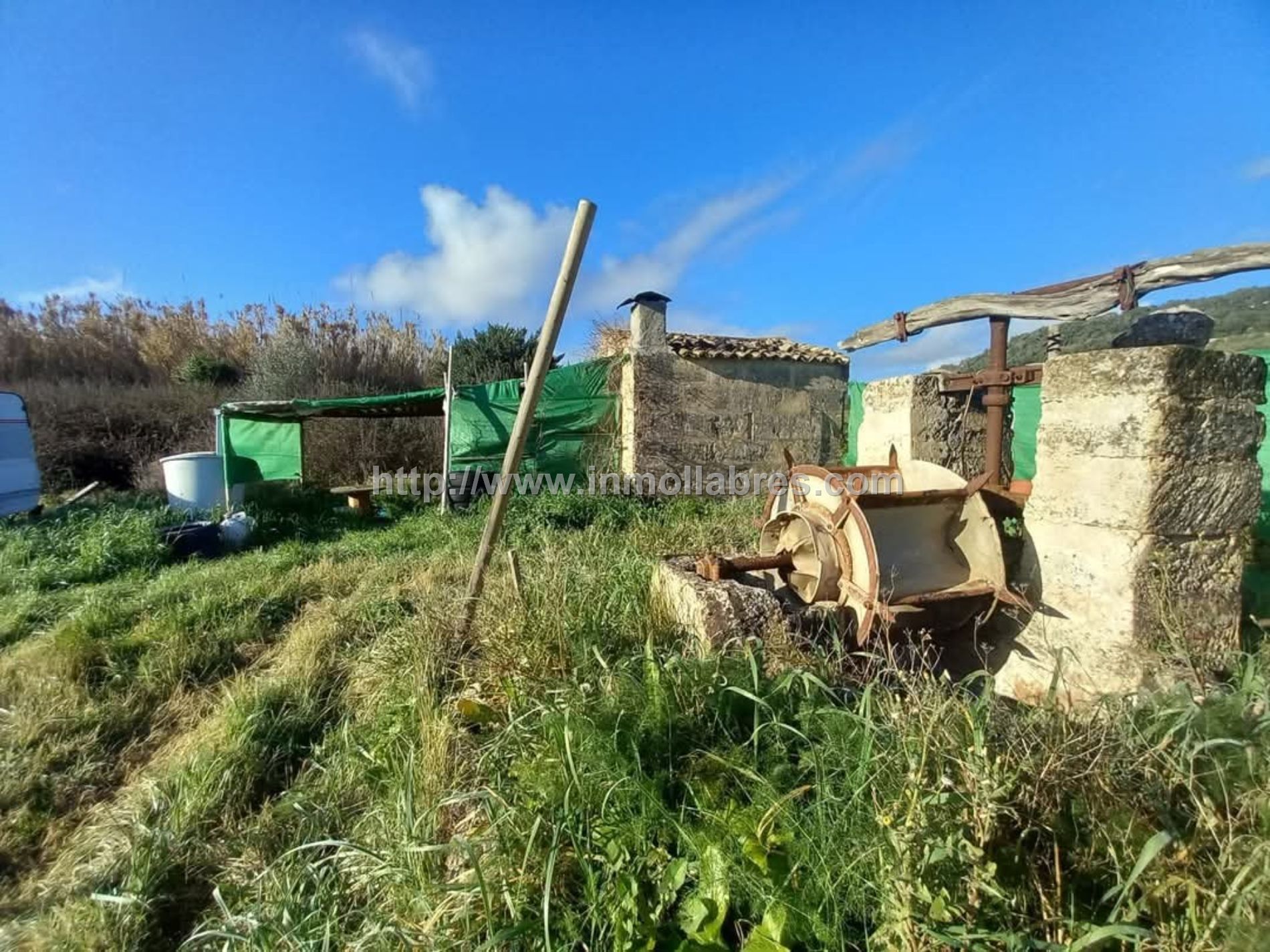 BONITA FINCA EN PETRA