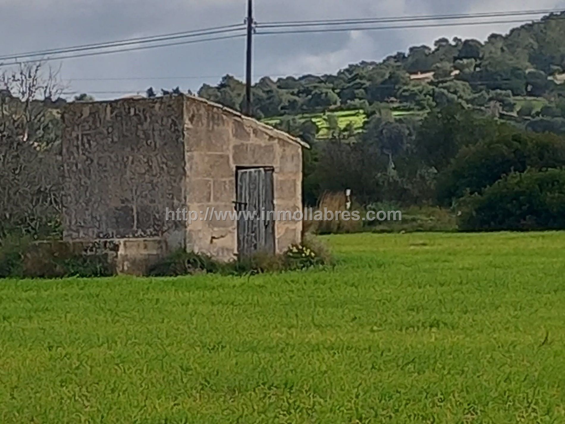 BONITA FINCA EDIFICABLE EN MANACOR