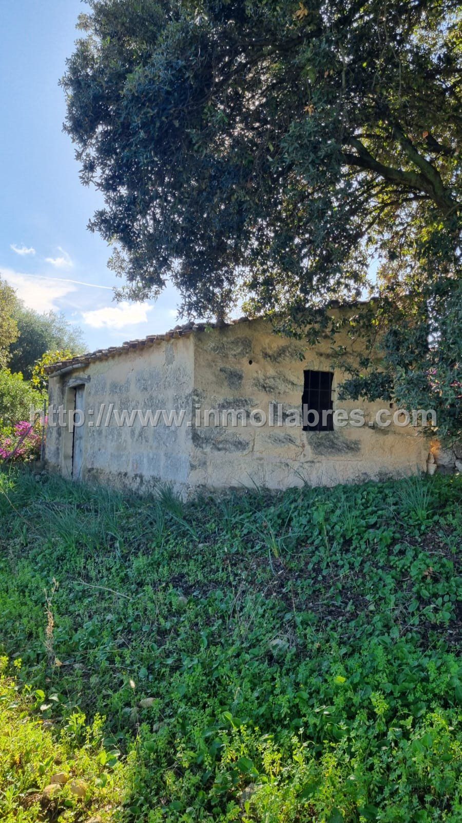 PRECIOSA FINCA RUSTICA EN EL TERMINO DE SELVA