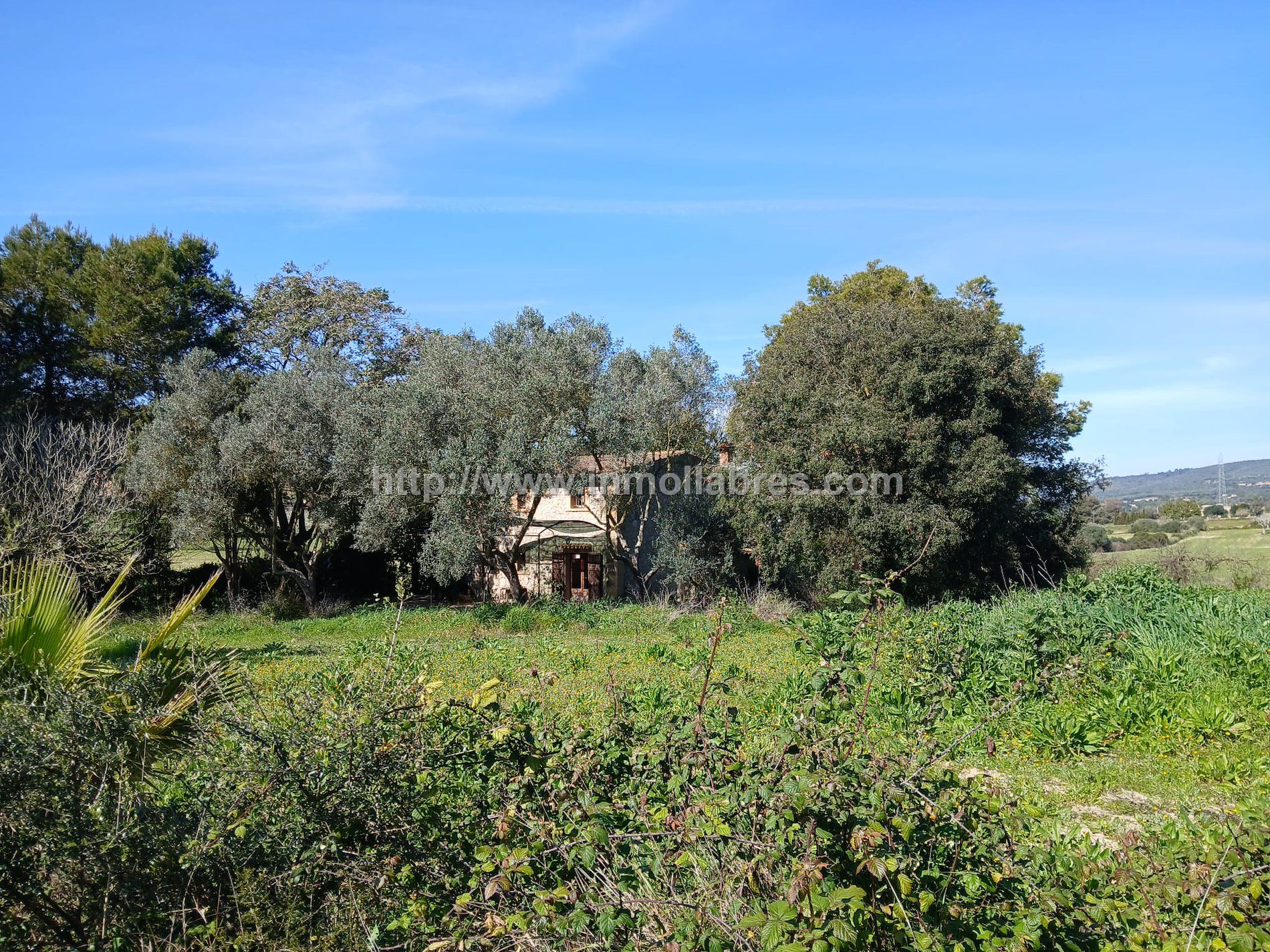 BONITA FINCA EN MANACOR 