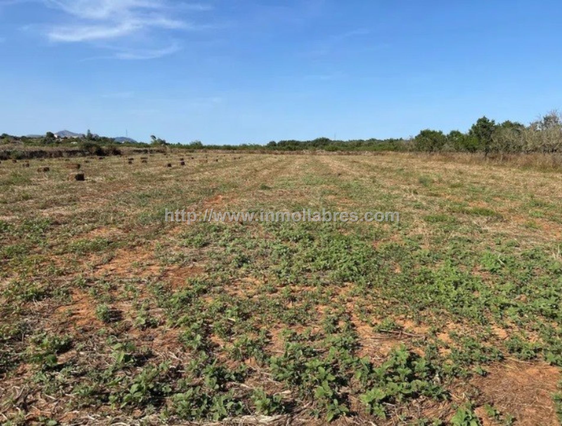 BONITA FINCA EDIFICABLE EN SANTA MARGARITA