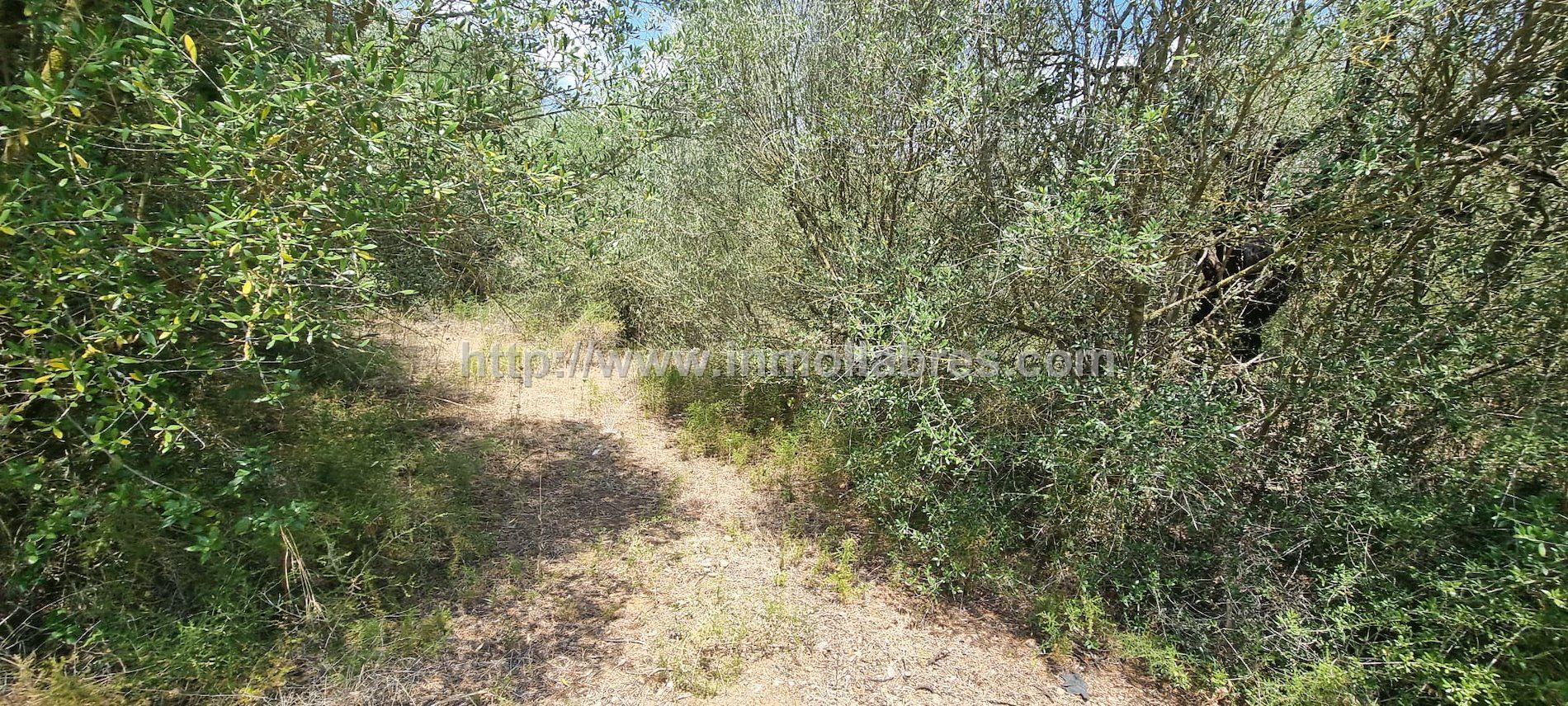 SE VENDE FINCA RUSTICA PEGADA INCA