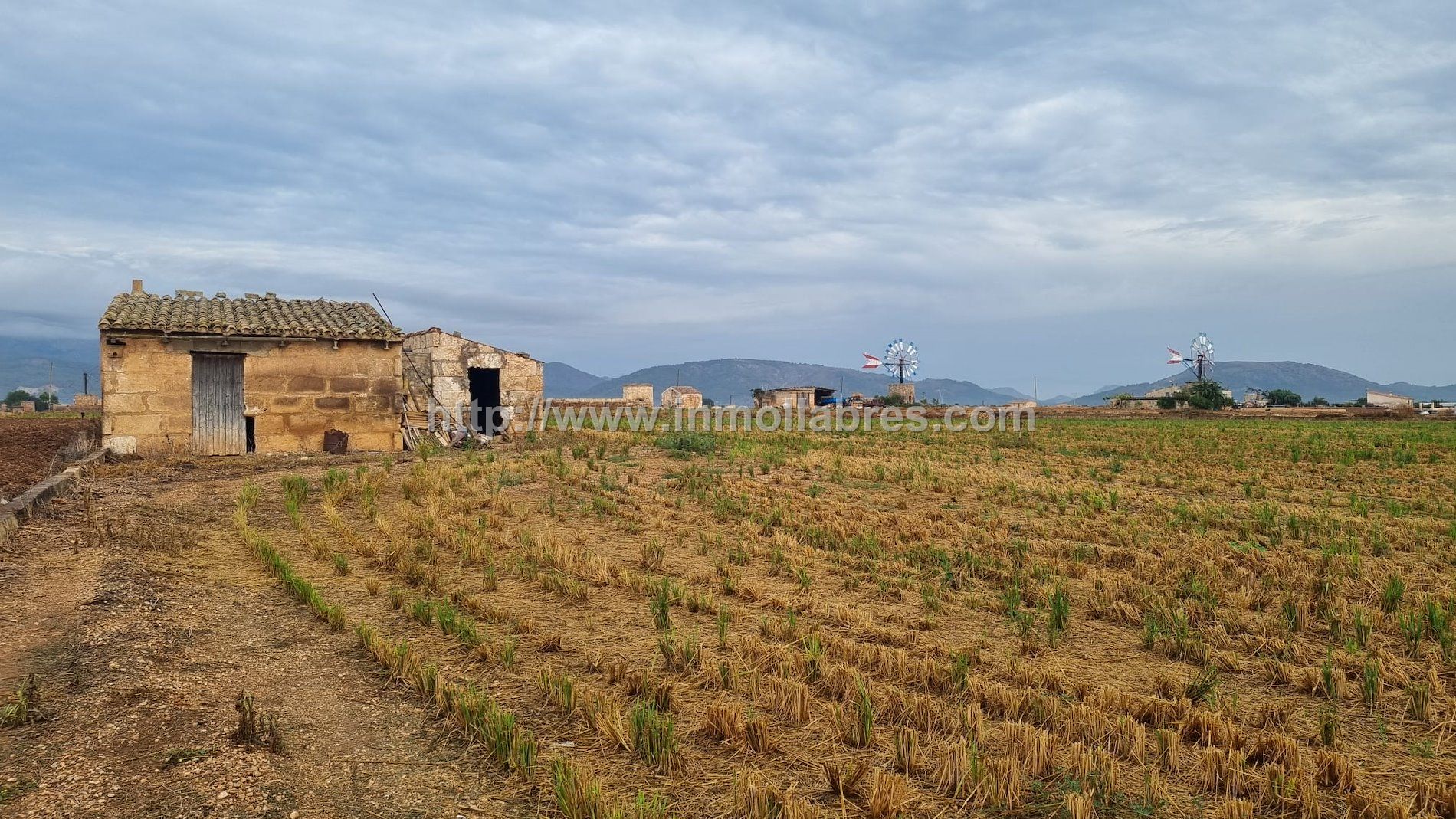 FINCA RUSTICA EN MURO