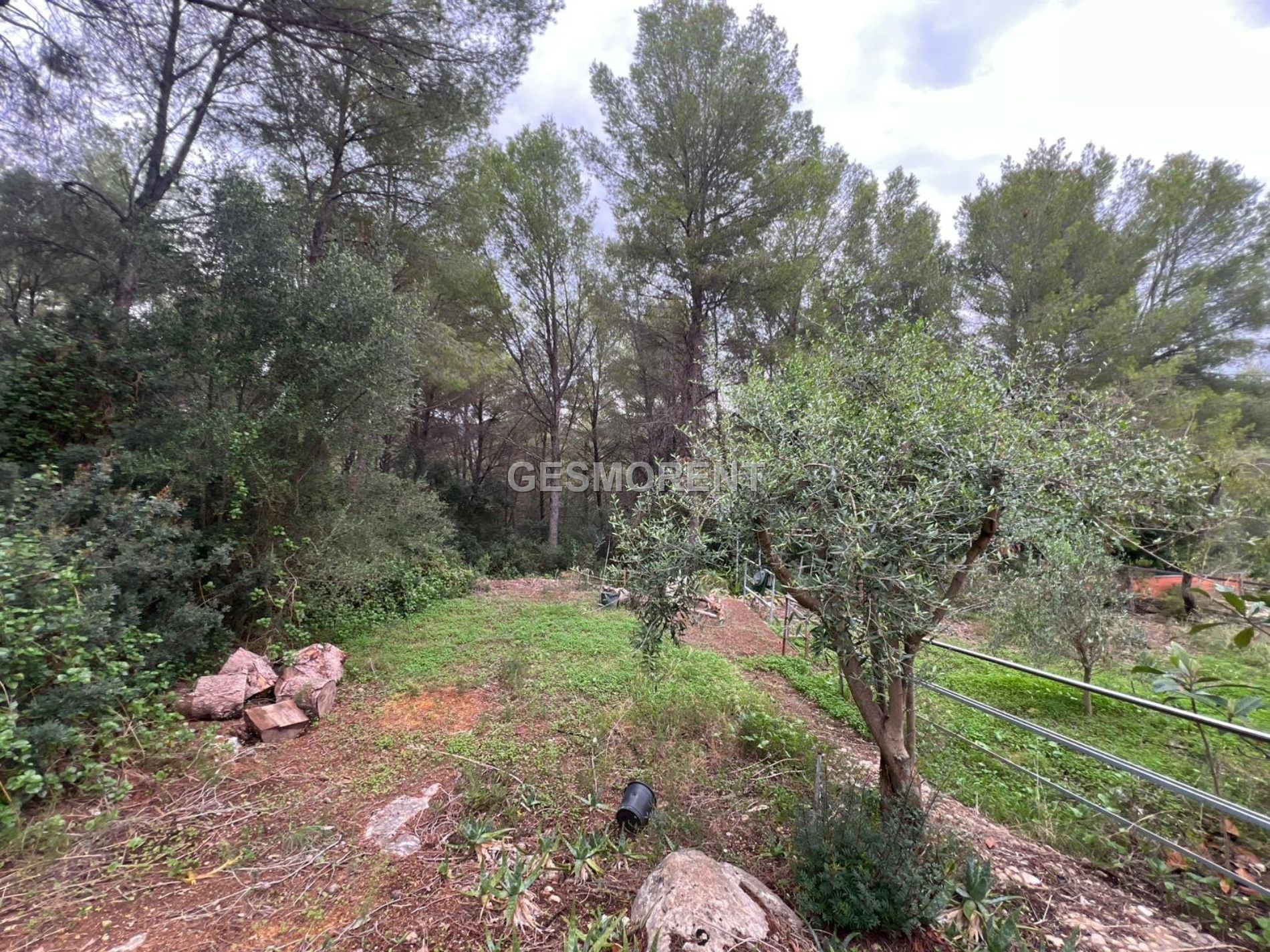 Vista en miniatura