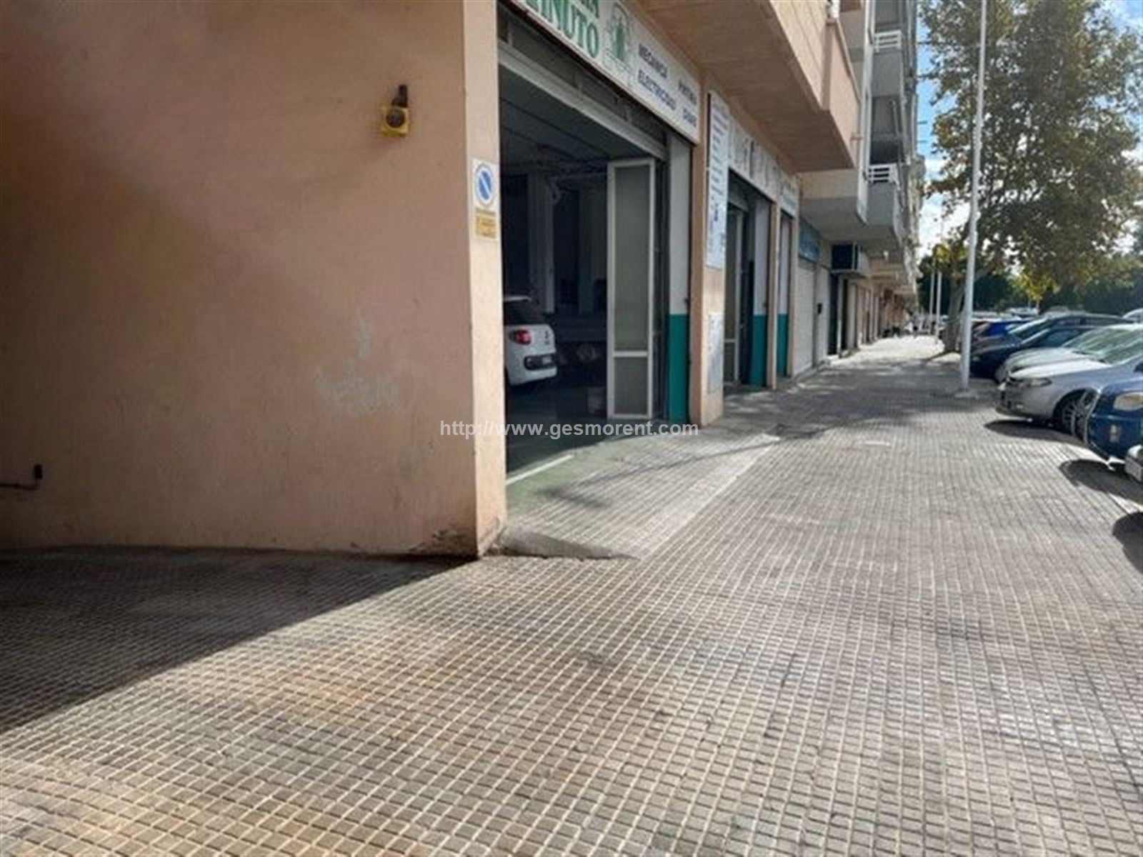 Vista en miniatura