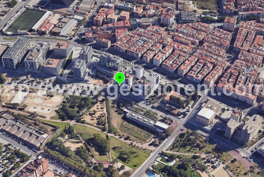 Vista en miniatura