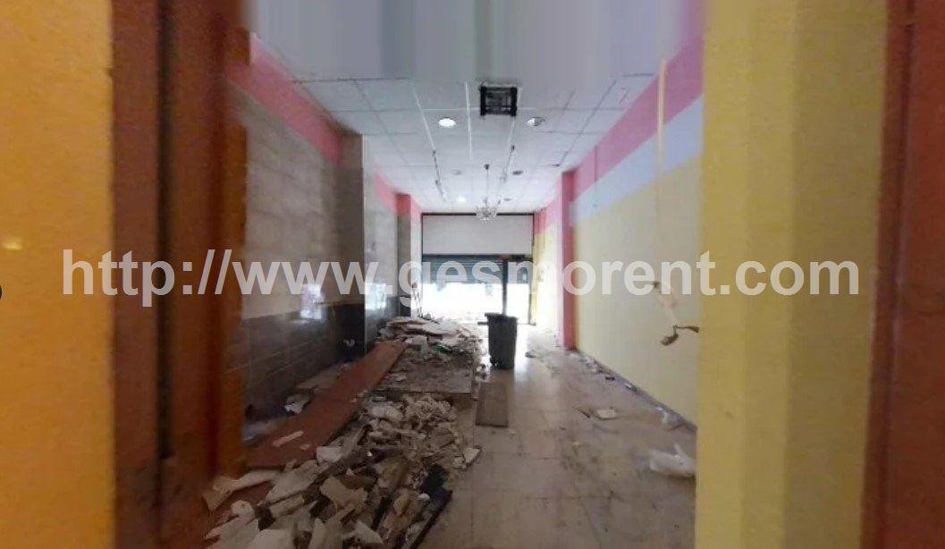 Vista en miniatura