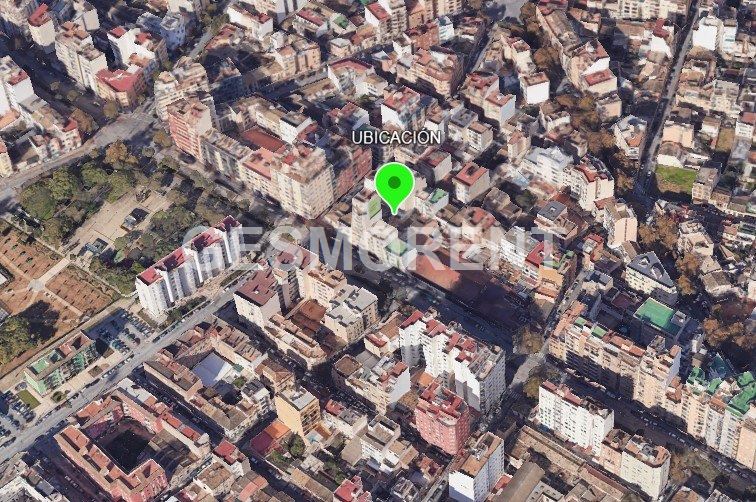 Vista en miniatura