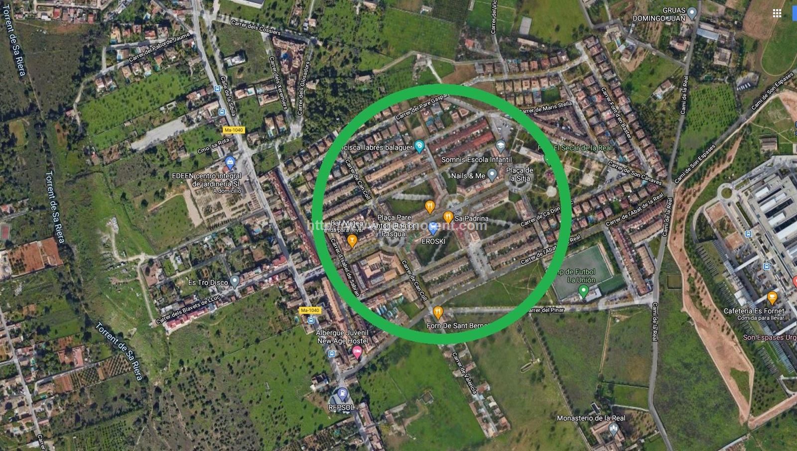 Vista en miniatura