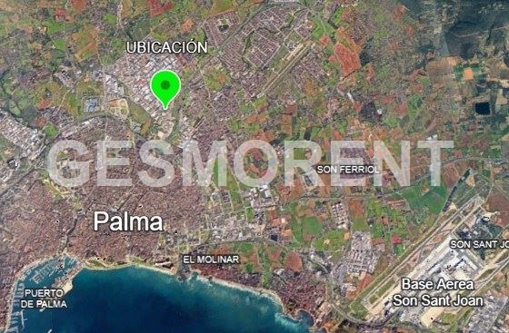 Vista en miniatura