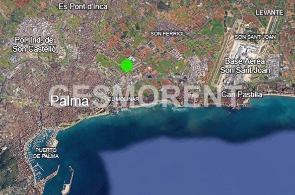Vista en miniatura