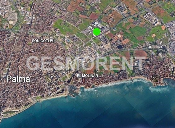 Vista en miniatura