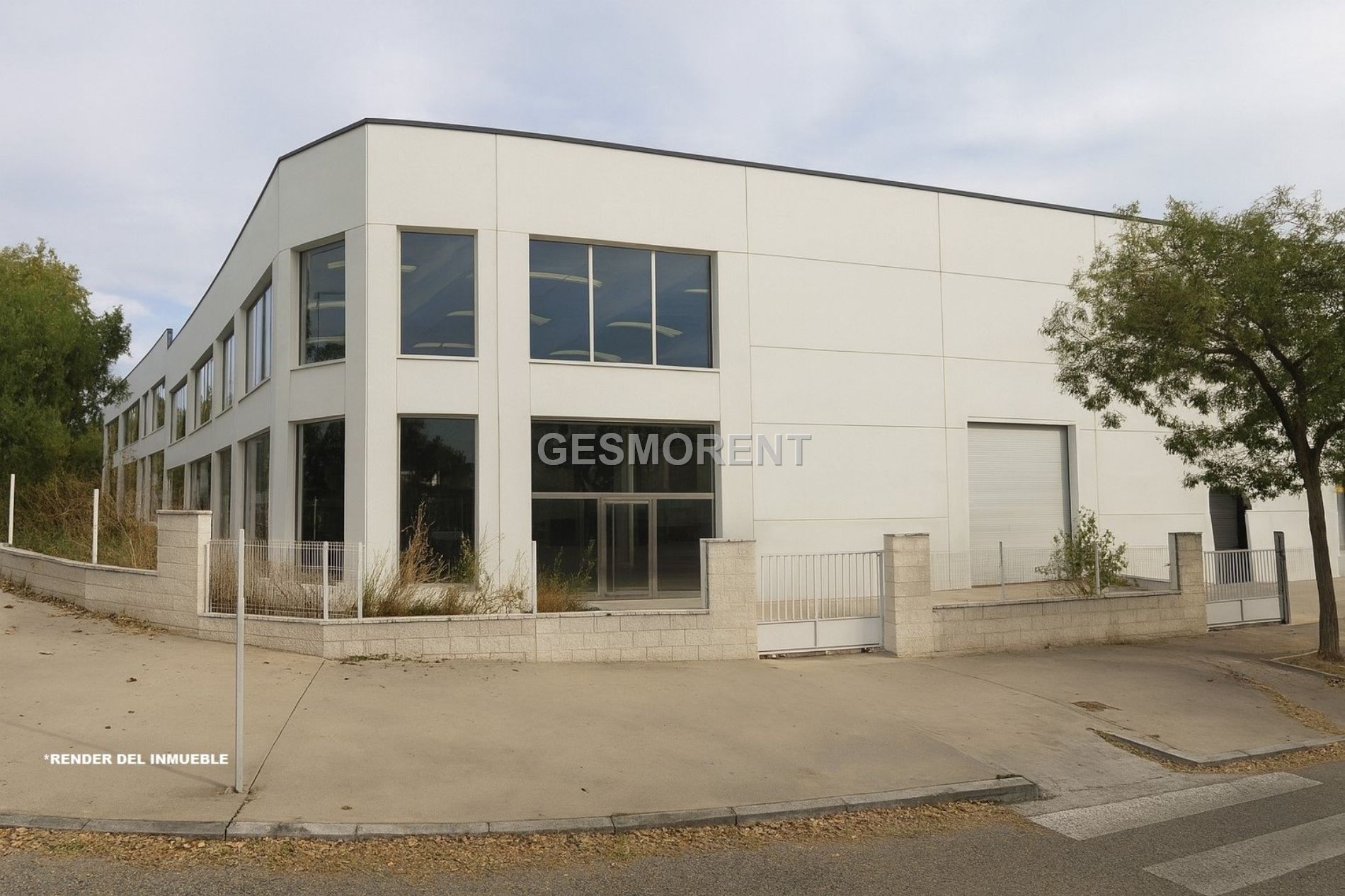 Main image