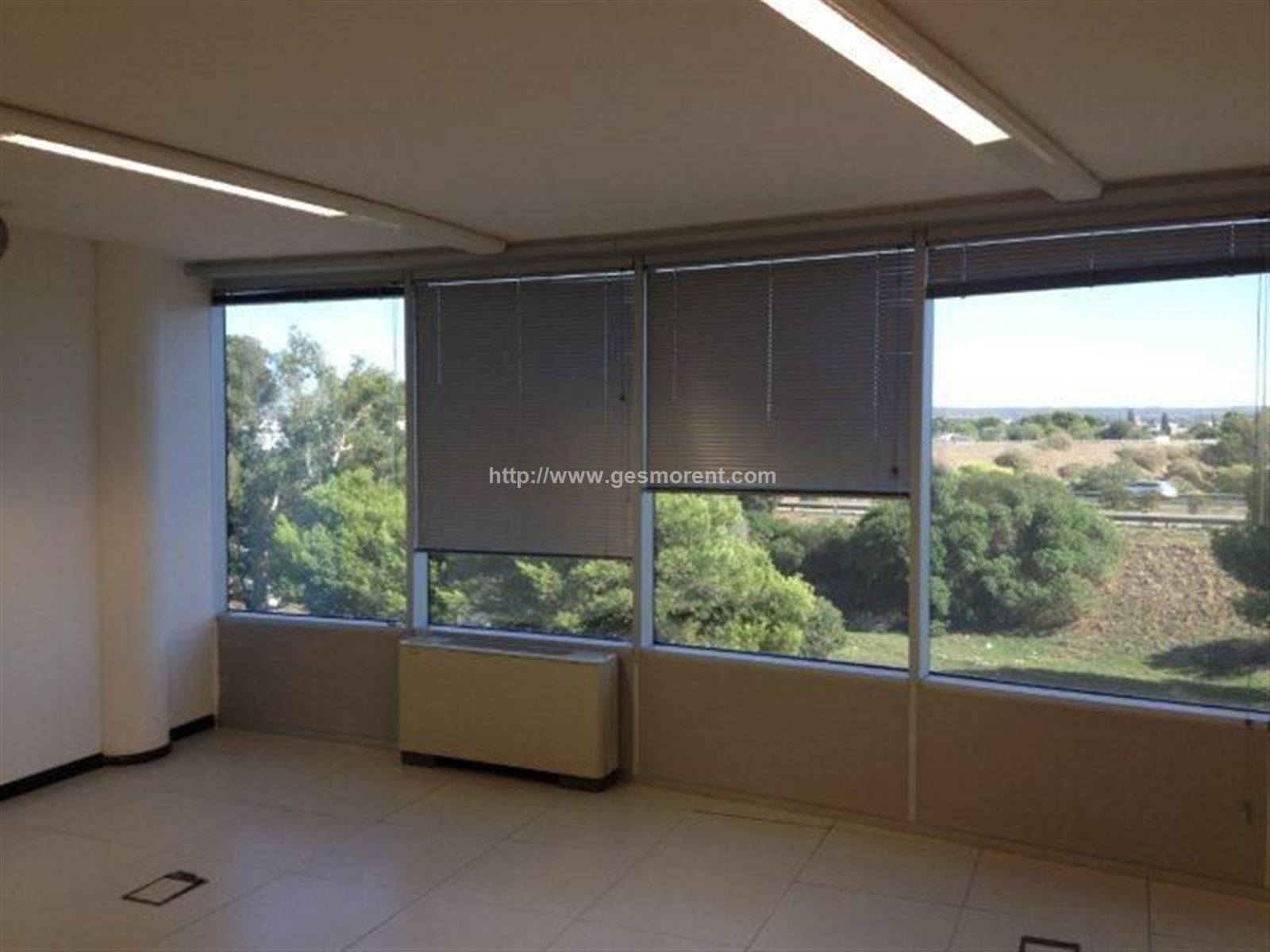 Vista en miniatura