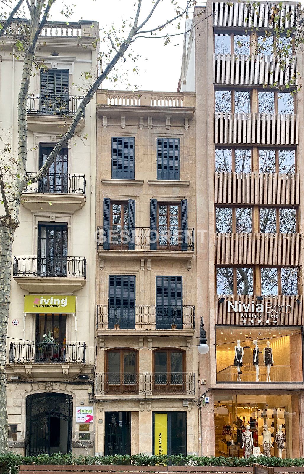 Main image