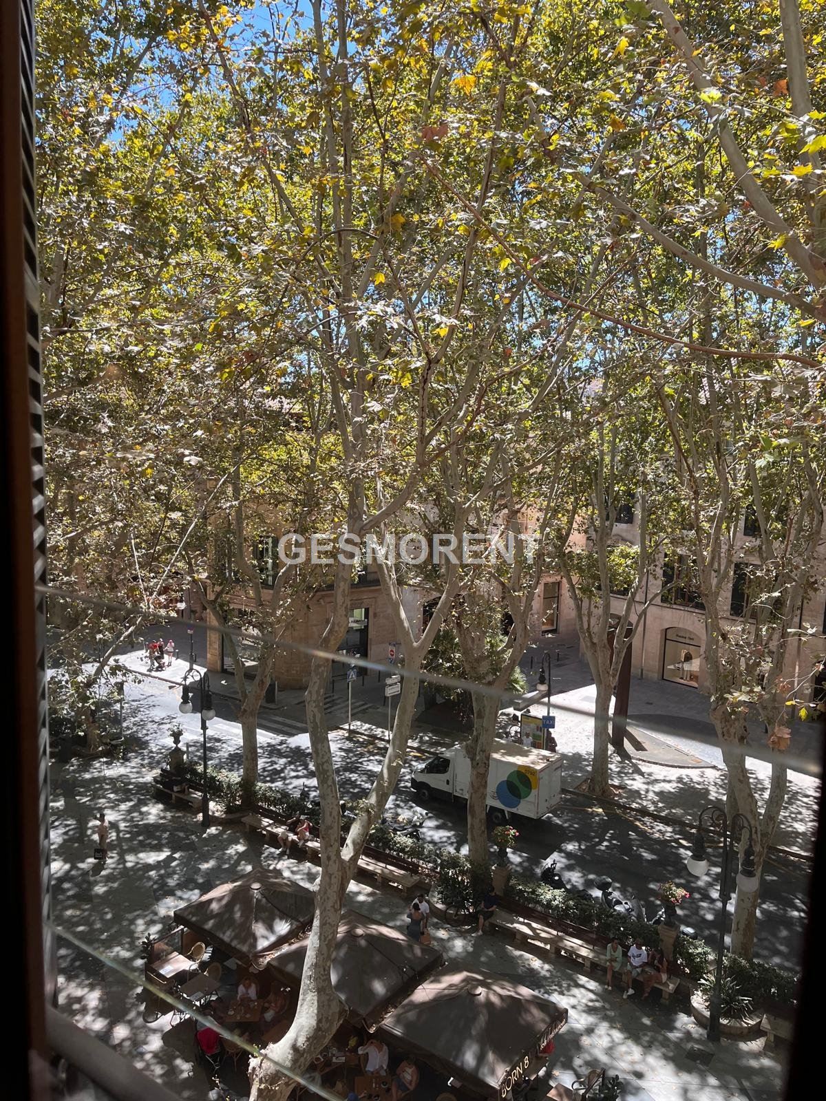 Vista en miniatura