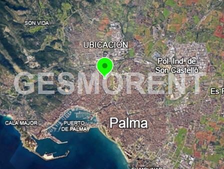 Vista en miniatura