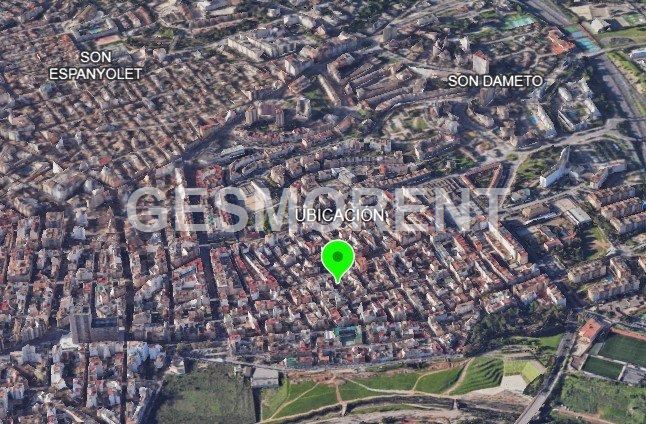 Vista en miniatura