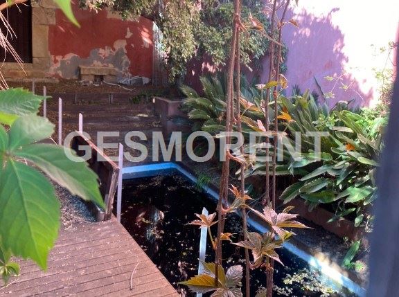 Vista en miniatura