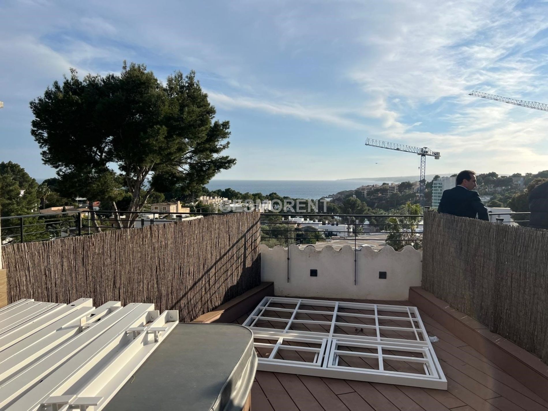 Vista en miniatura