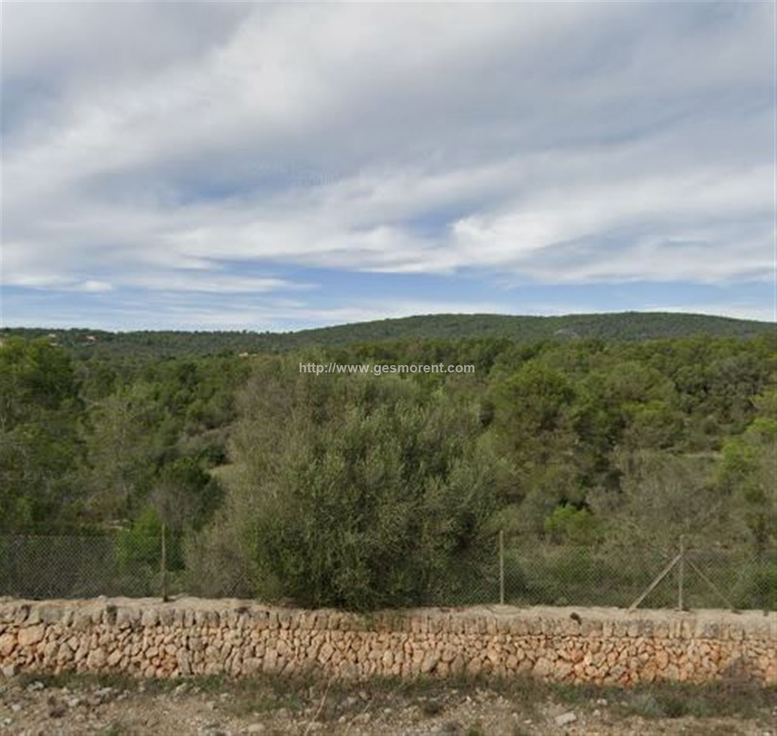Vista en miniatura
