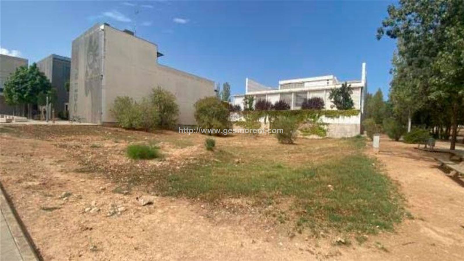 Main image