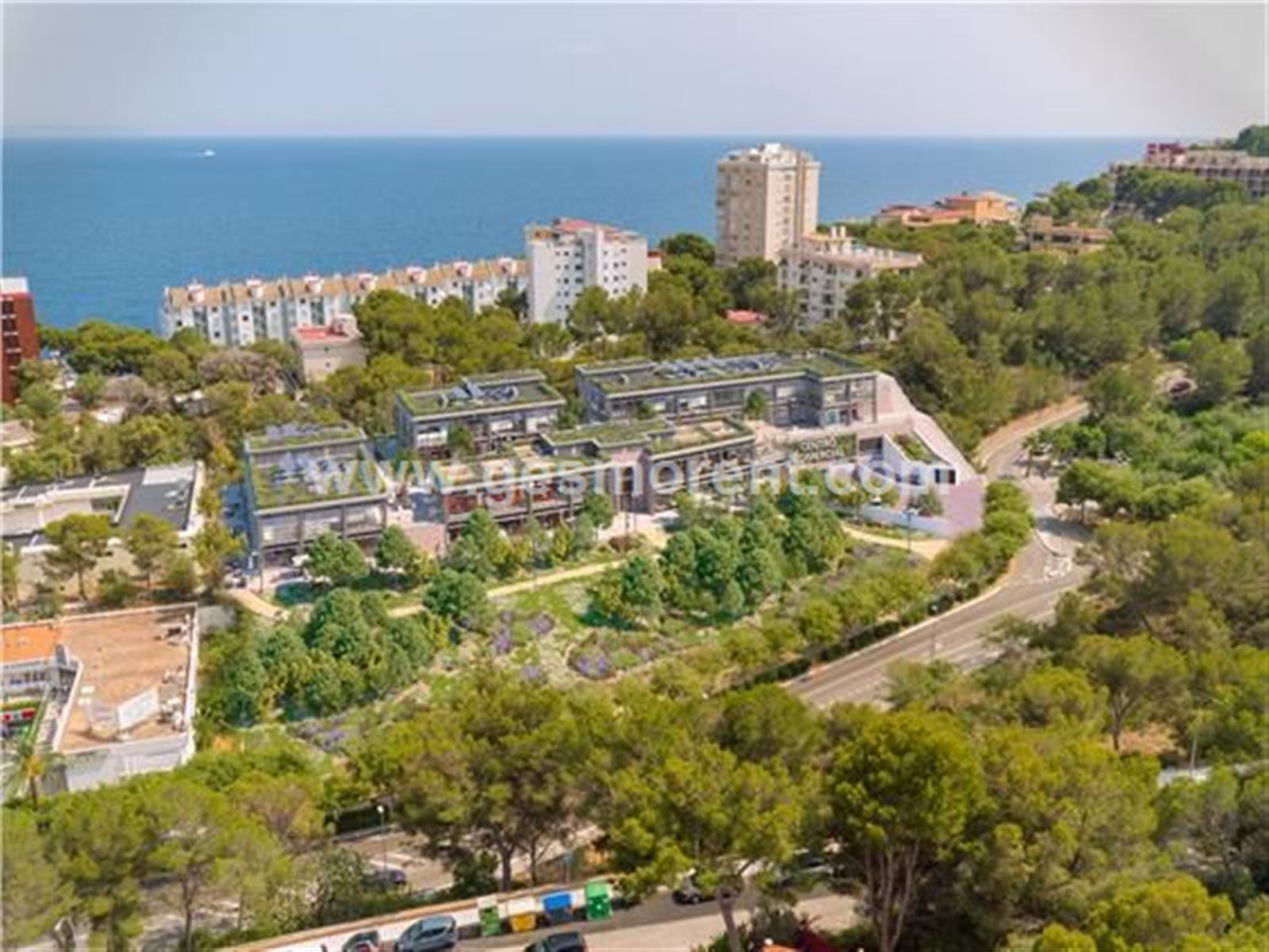 Vista en miniatura