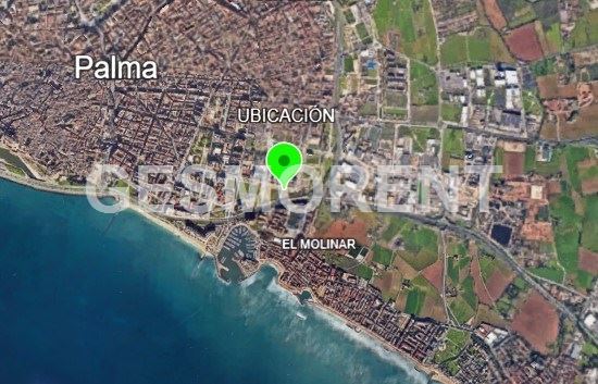 Vista en miniatura