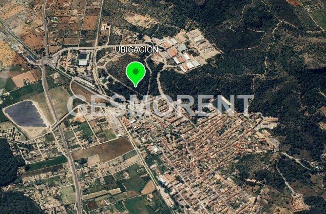 Vista en miniatura