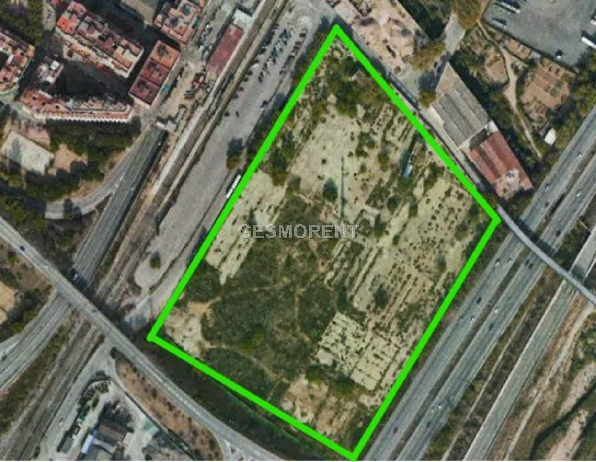 Main image