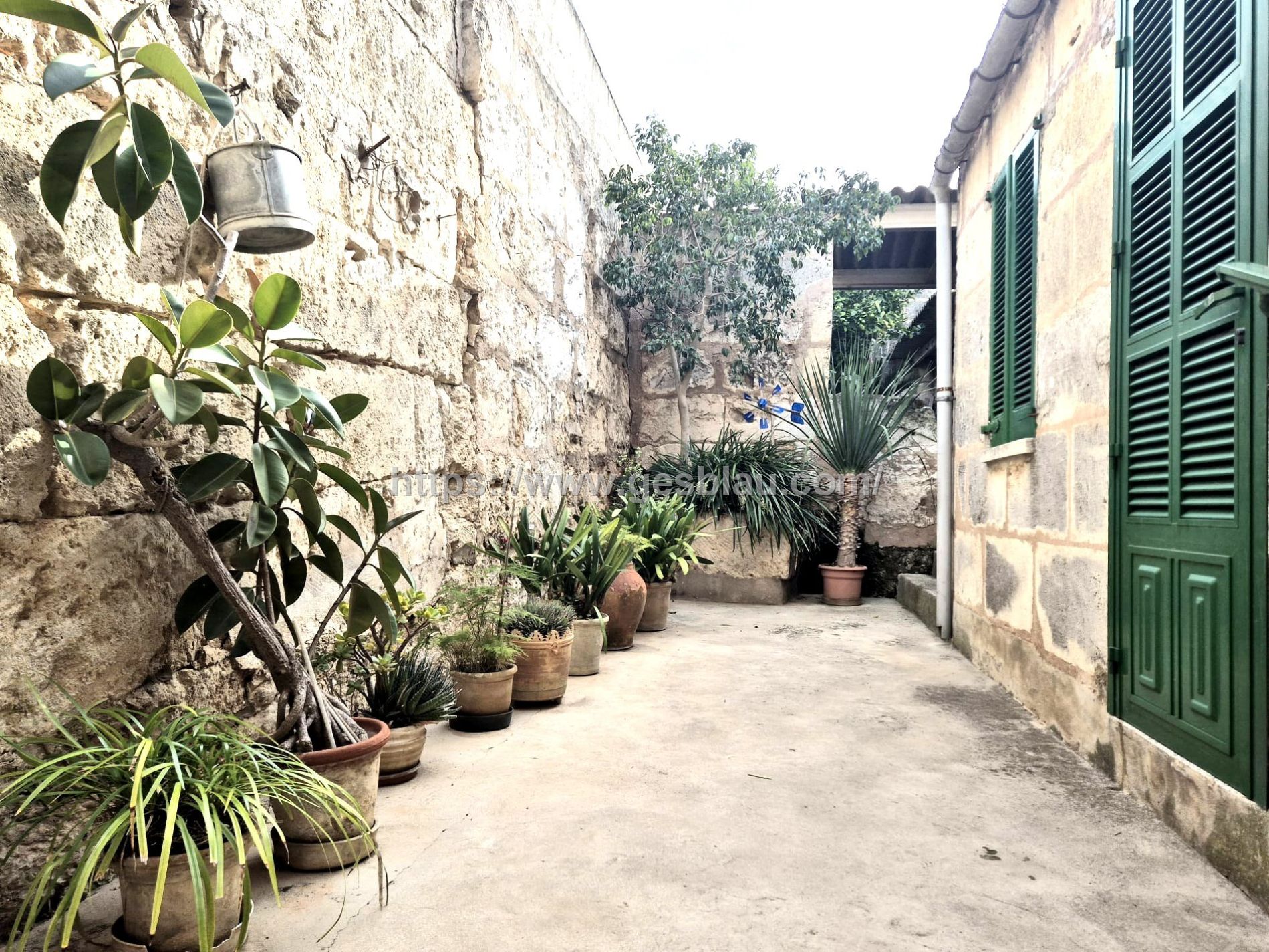 🏡 Casa en alquiler en Muro con gran patio