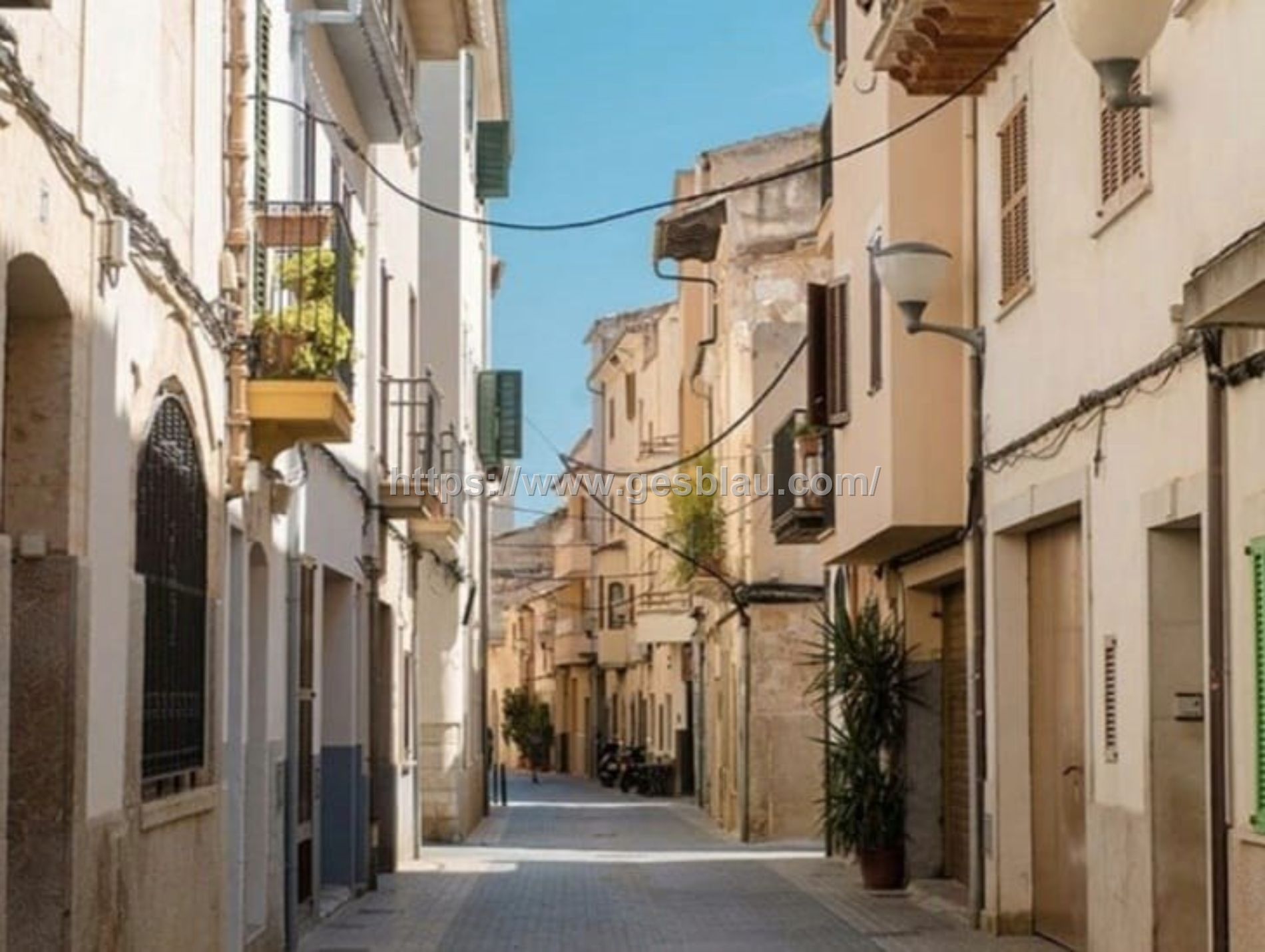 🏢 Edificio en Venta – Dos pisos- Inversión con Renta Activa