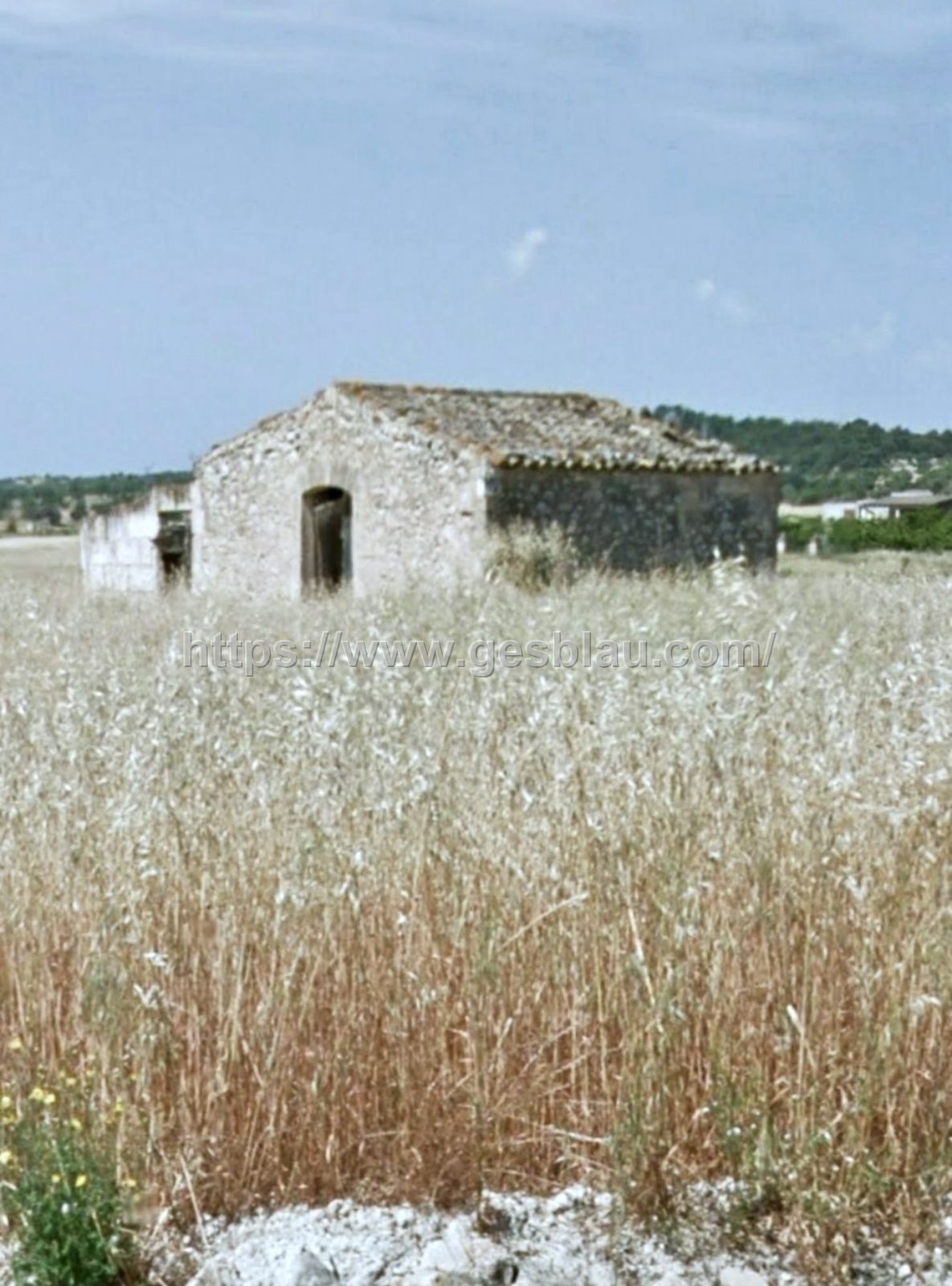 Finca rústica con caseta para reformar