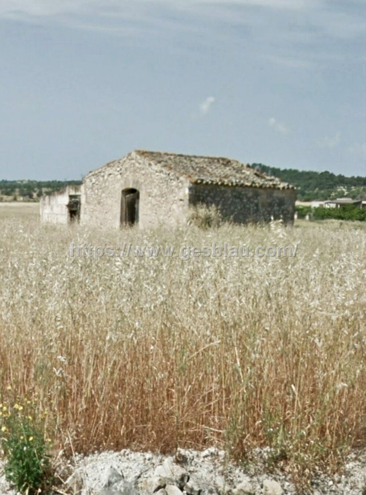 Finca rústica con caseta para reformar