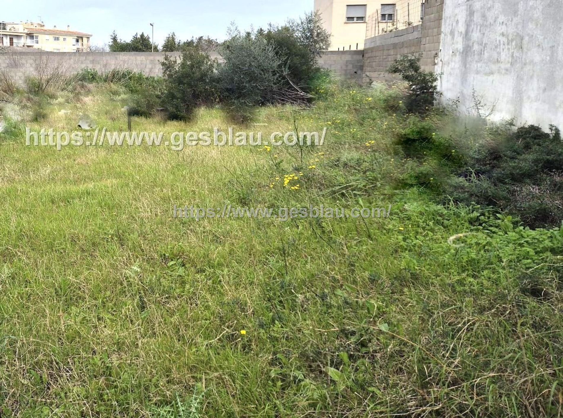 Solar con ubicación privilegiada 