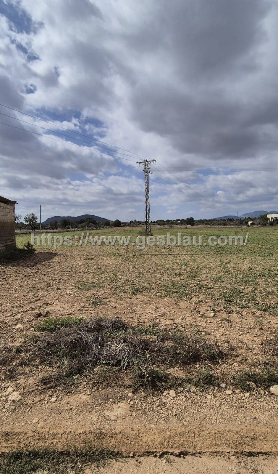 Fincas rústica edificable