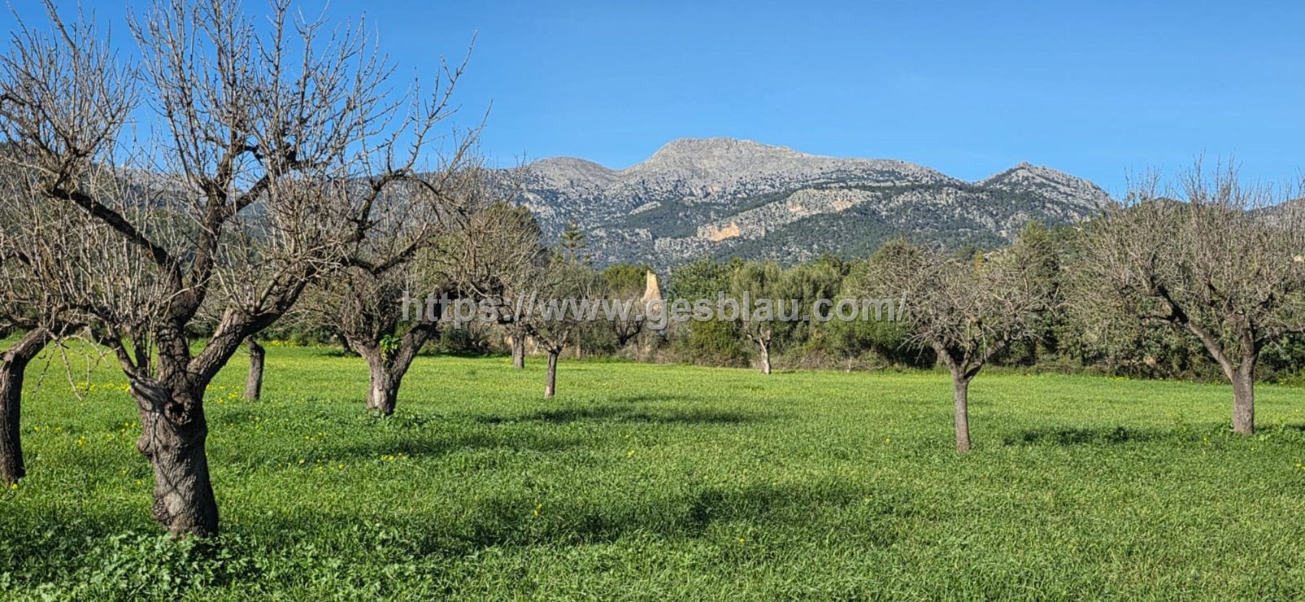 Terreno edificable en SELVA con licencia de obras concedida