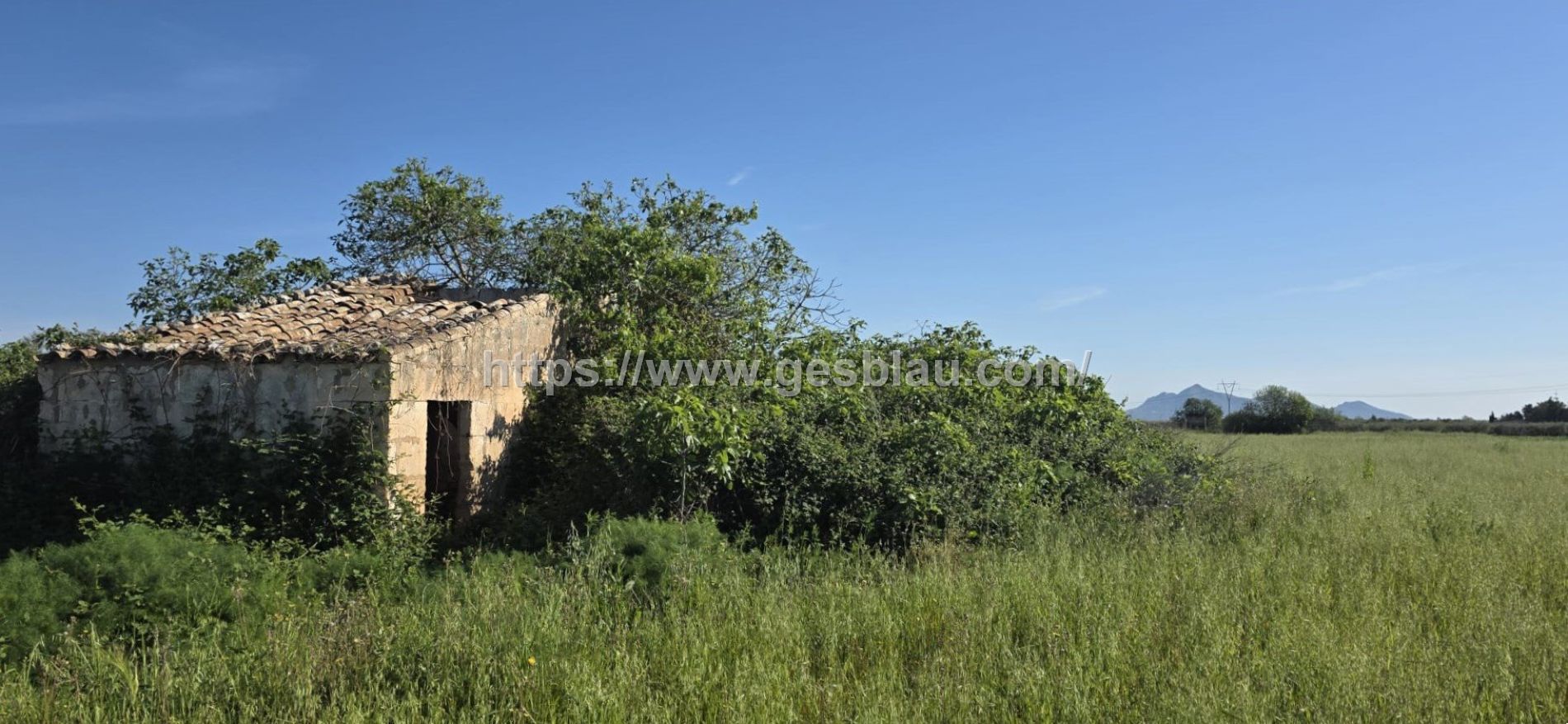 Finca rústica con caseta de 30 m2