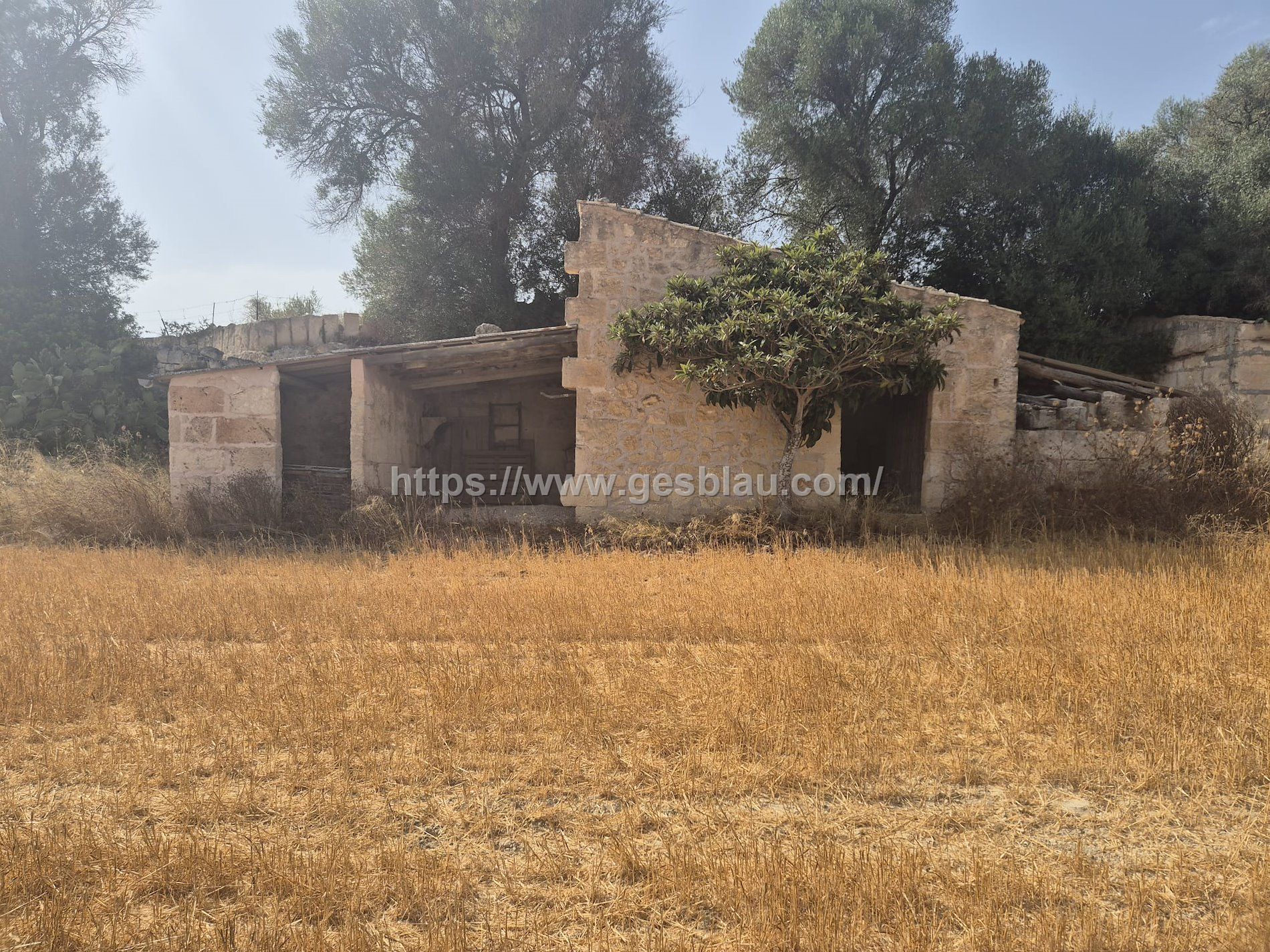 Finca rústica edificable a solo unos pasos del pueblo de Muro