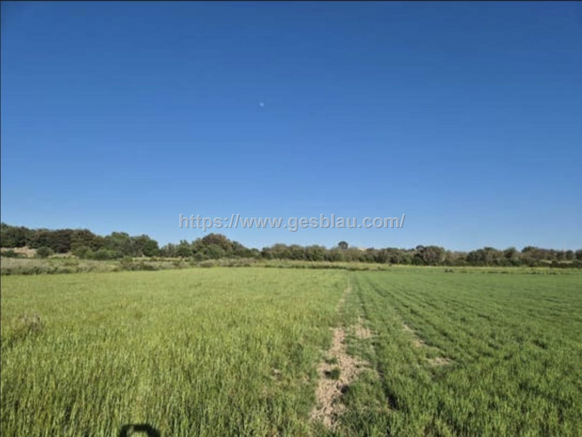 Finca rústica edificable entre Muro y Santa Margalida – Mallorca