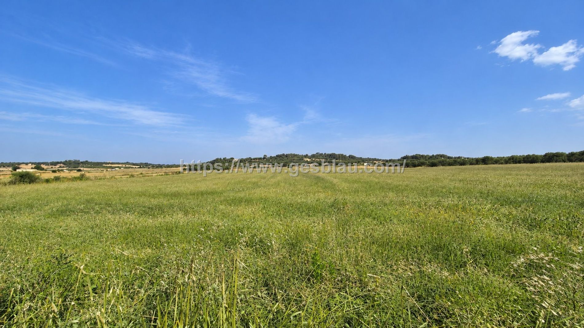 Finca rústica edificable entre Muro y Santa Margalida – Mallorca