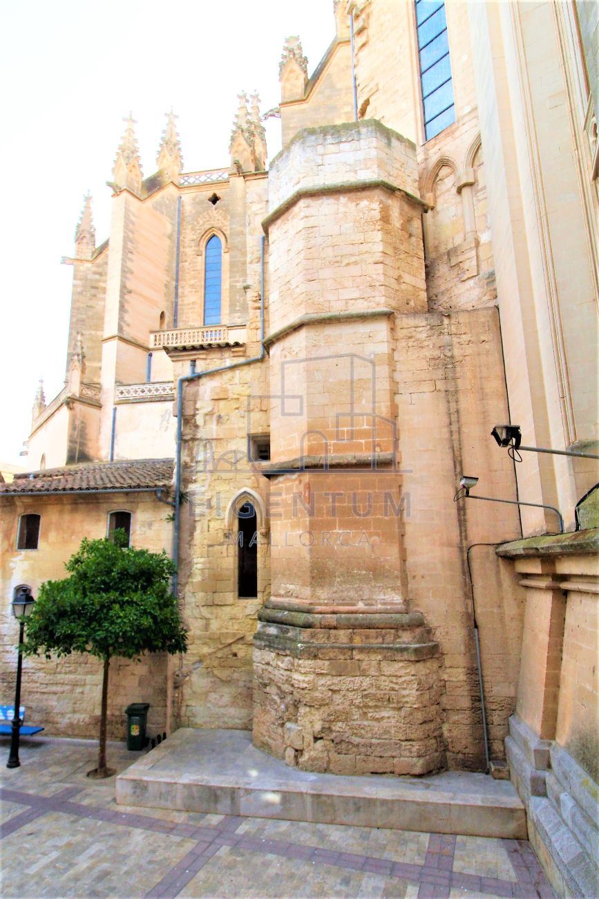 ACOGEDOR PISO EN EL CENTRO DE MANACOR 