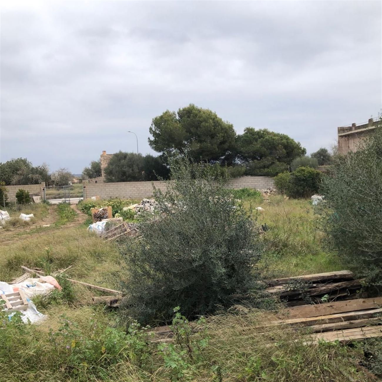 SOLAR EN AVDA. DE LA VIRGEN CAMPOS